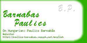 barnabas paulics business card